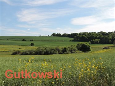 Działka 2223 m² z widokiem na las i jeziora - polecam! działka Lekarty, Powiat nowomiejski, Gmina Nowe Miasto Lubawskie