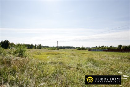 Przestronna działka 4600 m² z warunkami zabudowy. działka Nowosady