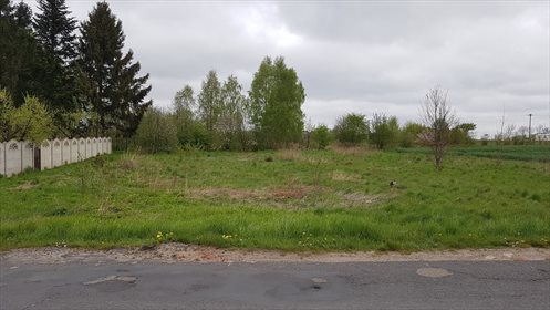 działka na sprzedaż 2038m2 działka Warszkowo