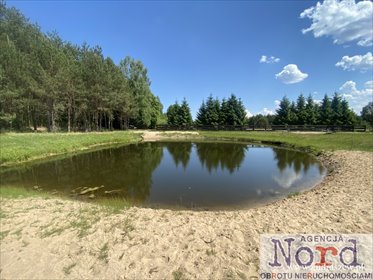 działka na sprzedaż 3571m2 działka Gorczyca