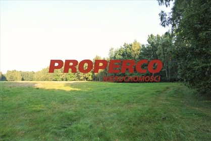 Do sprzedania działka 35 000 m² z lasem i mediami w Mościskach działka Mościska