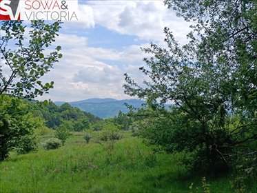 działka na sprzedaż 1000m2 działka Jedlina-Zdrój, Kamieńsk