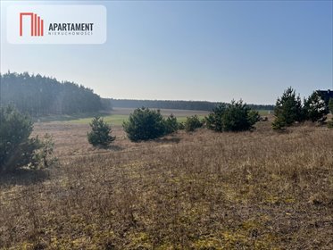 Sprzedam działkę 4900 m² z prądem i wodą w spokojnej okolicy działka Oporówek