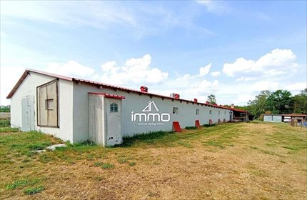 Na sprzedaż: duża działka 6000 m² z budynkami w Kamieniu magazyn Kamień