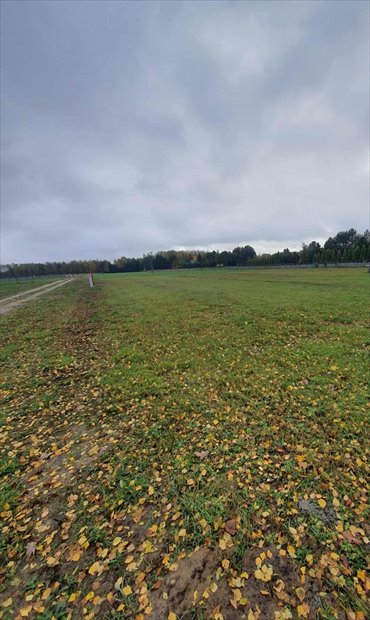 działka na sprzedaż 1031m2 działka Zosin