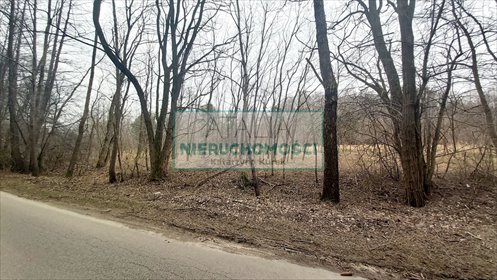 Działka 56 000 m² z wodą, prądem i zadrzewieniami działka Korabiewice