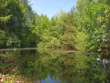 Działka budowlana na sprzedaż Przyjaźń 14 260m2 Foto 1
