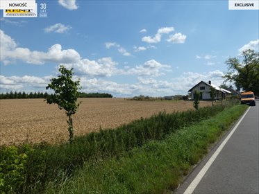działka na sprzedaż 1250m2 działka Dębice