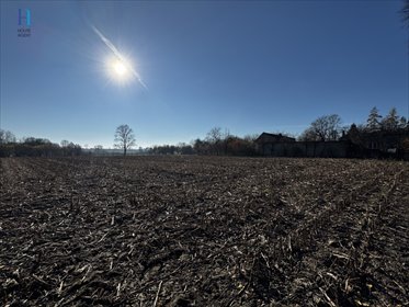 Działka 6302 m² w Kolonii Łaznów (MPZP, asfalt) działka Kolonia Łaznów