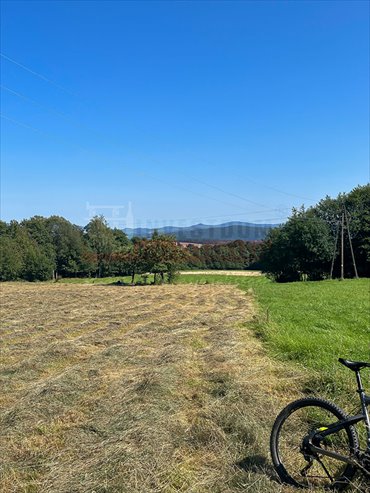 działka na sprzedaż 9300m2 działka Stara Łomnica