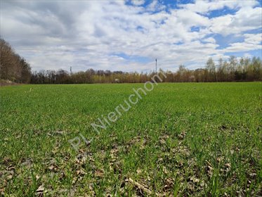 Działka budowlana 1800 m2 w Odrano-Woli. działka Odrano-Wola