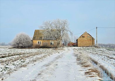 dom na sprzedaż 70m2 dom Łączewna