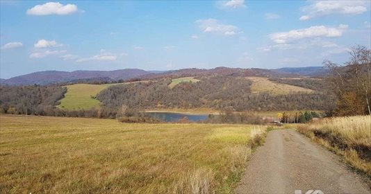 Działka inwestycyjna na sprzedaż Chrewt 29 900m2 Foto 6