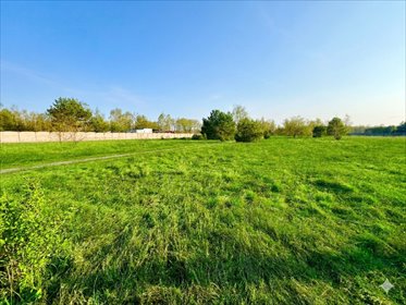 Działka 3167 m² pod zabudowę mieszkaniową i usługową działka Łódź