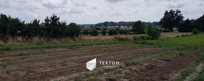 Działka przemysłowo-handlowa na sprzedaż Wysoki Kościół, Parkowa 1 000m2 Foto 6