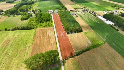 Działka inwestycyjna 8 000 m² w Nieborowie z możliwością zabudowy działka Nieborów, Zachodnia