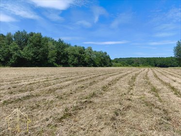 Działka inwestycyjna 1,80 ha przy lesie, Radawa działka Radawa, Świętej Anny