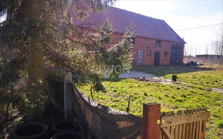 Stodoła 214 m² z projektem loftu, działka 2310 m² polecam dom Żary
