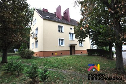 Przestronne 3-pokojowe mieszkanie w centrum Zielonej Góry mieszkanie Zielona Góra