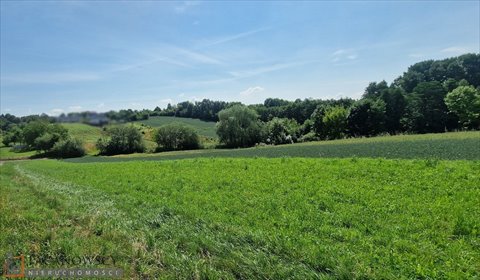 działka na sprzedaż 2870m2 działka Bibice