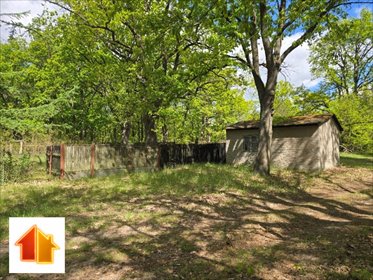 Działka z budynkiem w lesie, 2600 m2, prąd i woda działka Słubice