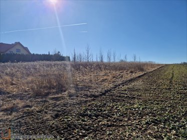 działka na sprzedaż 1500m2 działka Narama