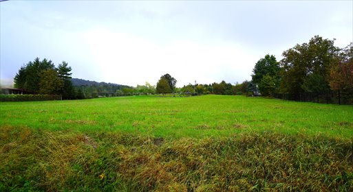 Polecam działkę 2400 m² z mediami, asfalt, płaska działka Pagorzyna