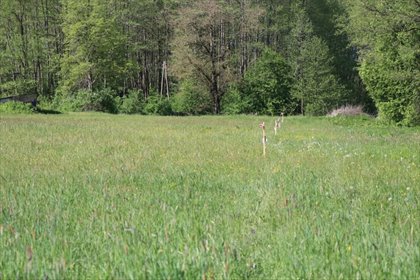 działka na sprzedaż 1899m2 działka Turośń Kościelna
