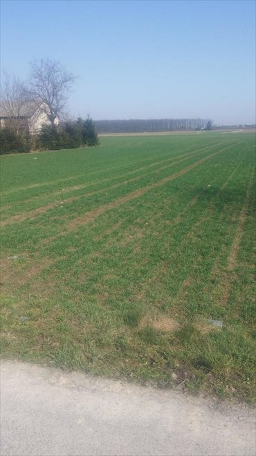 działka na sprzedaż 9049m2 działka Jakubowice Konińskie