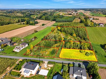 Do sprzedania działka 1200 m² w Bechcice-Kolonia z dostępem do mediów działka Bechcice-Kolonia