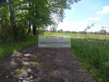 Działki pod zabudowę jednorodzinną 7 900 m², media w drodze działka Chrzanów Mały