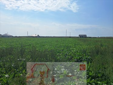 działka na sprzedaż 1594m2 działka Turowola-Kolonia