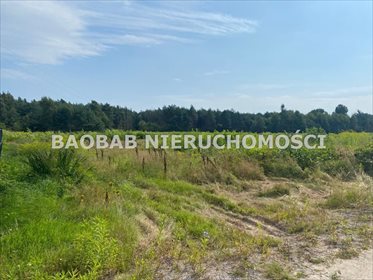 Działka budowlana na sprzedaż Badowo-Dańki, Dębowa 1 102m2 Foto 5