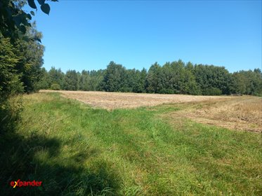 Działka 1,82 ha z możliwością dokupienia, blisko jeziora działka Likiec