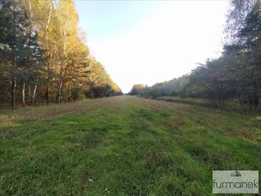 Działka inna na sprzedaż Lipiny Górne-Borowina 16 337m2 Foto 5