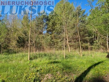 działka na sprzedaż 4800m2 działka Góra Kalwaria