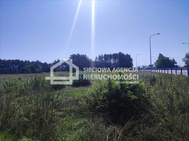 Działka inwestycyjna na sprzedaż Gdańsk, Kokoszki 2 240m2 Foto 6