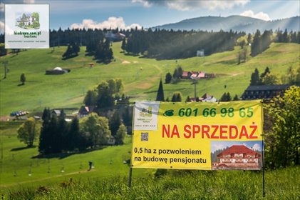 Do sprzedania działka 0,58 ha z pozwoleniem na pensjonat w Zieleniec działka Duszniki-Zdrój, Zieleniec