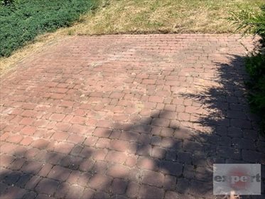 Działka budowlana na sprzedaż Konstantynów Łódzki, Żabiczki 1 347m2 Foto 4