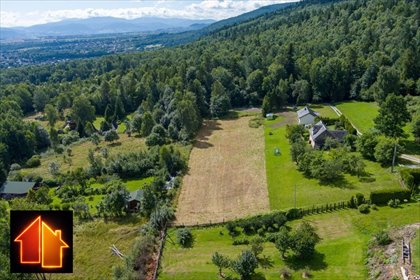 działka na sprzedaż 3784m2 działka Buczkowice, Jama