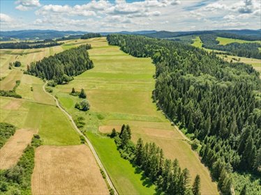 Działka 2389 m² w Niedzicy – idealna pod inwestycję lub rekreację działka Niedzica, Kąciki