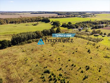 działka na sprzedaż 3019m2 działka Kierzkowo