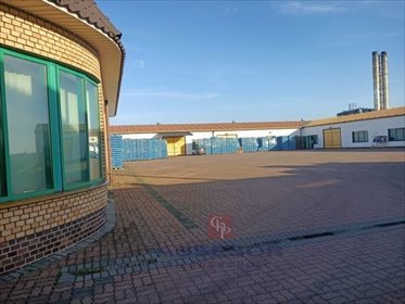 Hala magazynowa z chłodniami, biurami i certyfikatami lokal użytkowy Kalisz