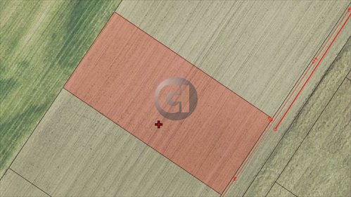 Na sprzedaż działka 2500 m² z domem i ogrodem w Santocku działka Santocko