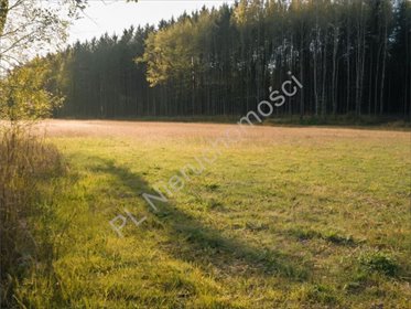 Leśna działka z MPZP pod zabudowę, 1220 m2, cisza działka Strzeniówka