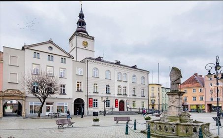 Kamienica inwestycyjna 1006 m² z najmem - centrum Dzierżoniowa lokal użytkowy Dzierżoniów, Rynek, Krasickiego