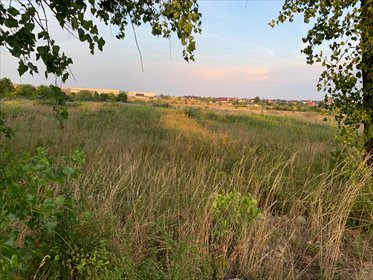 działka na sprzedaż 21020m2 działka Skarbimierzyce