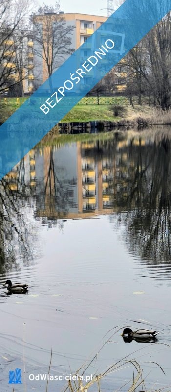 mieszkanie na sprzedaż 39m2 mieszkanie Bytom, Miechowice, Nickla 88