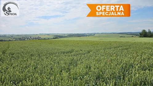 działka na sprzedaż 10900m2 działka Minoga