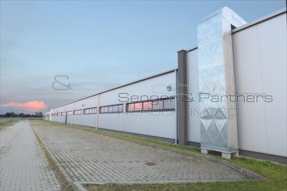 Sprzedam nowoczesną halę przemysłową 4900 m² w Szamotułach lokal użytkowy Szamotuły